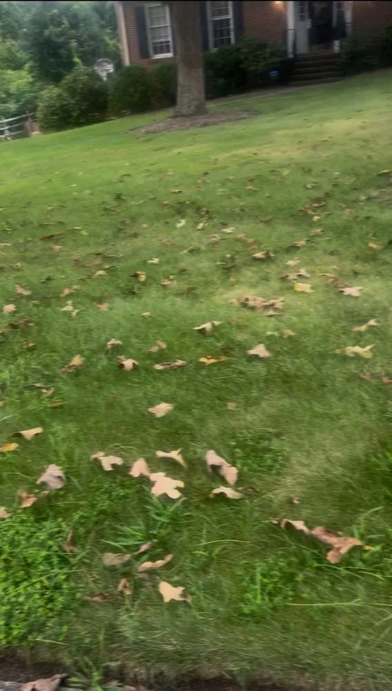 Affordable lawn care service in Hillsborough, NC - JL Mexa Landscape