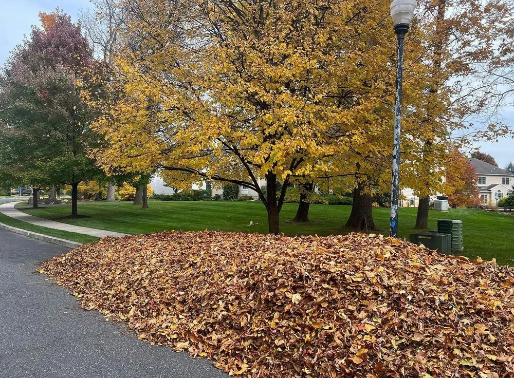 Top-rated outdoor landscaping experts serving Bethlehem, PA - JL Outdoor Solutions