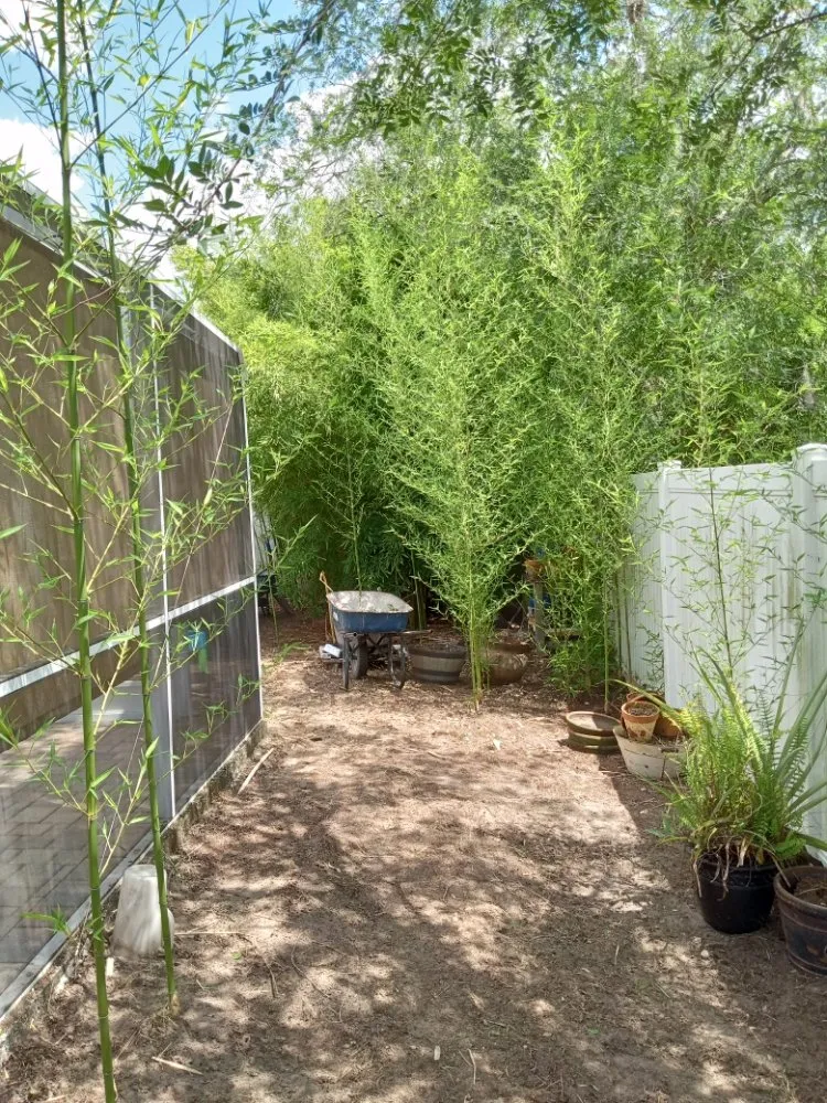 Custom landscape installation in Dover, FL - JL Paver and Patio