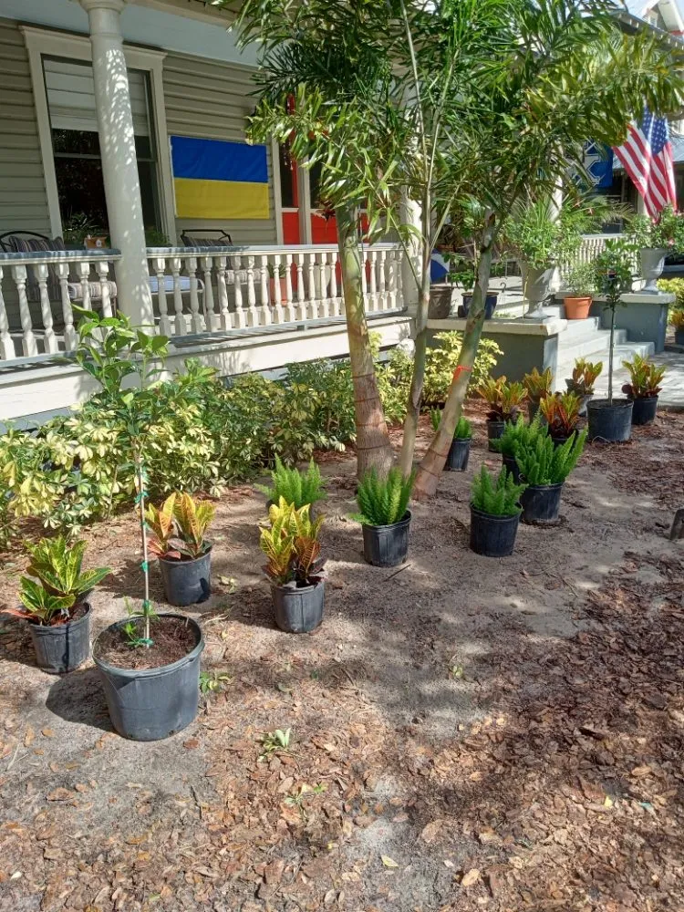 Top-rated yard maintenance in Dover, FL - JL Paver and Patio