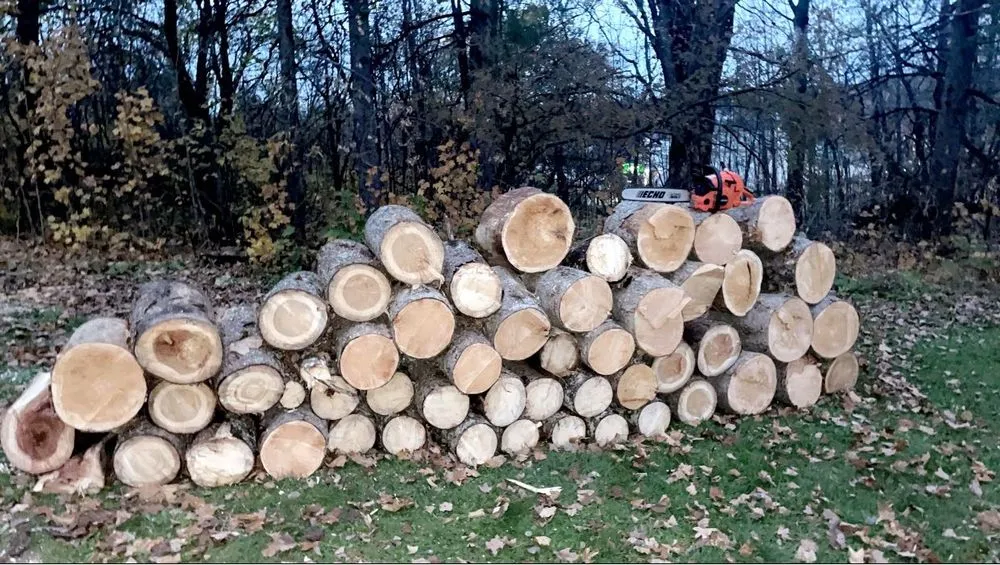 Custom lawn care service in Caribou, ME - J&L Property Services