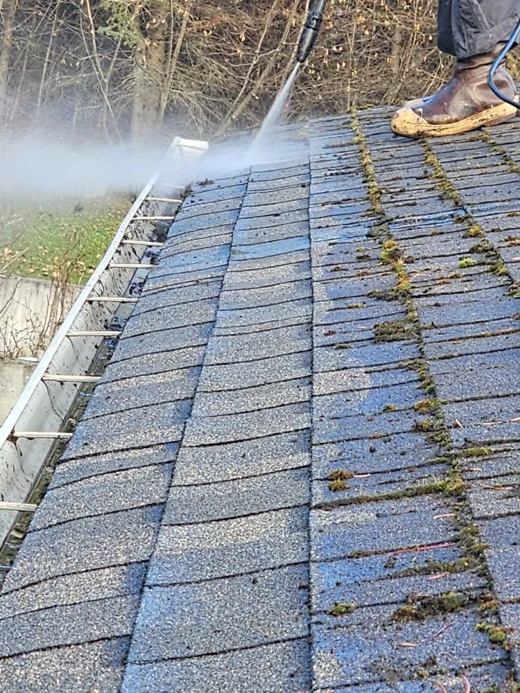 Professional yard cleanup service for residential properties in Eagle River, AK by JL Proprety Services