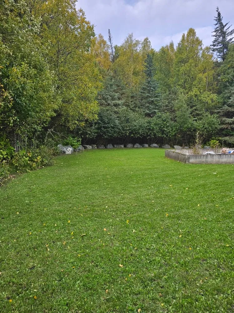 Trusted lawn mowing service experts serving Eagle River, AK - JL Proprety Services