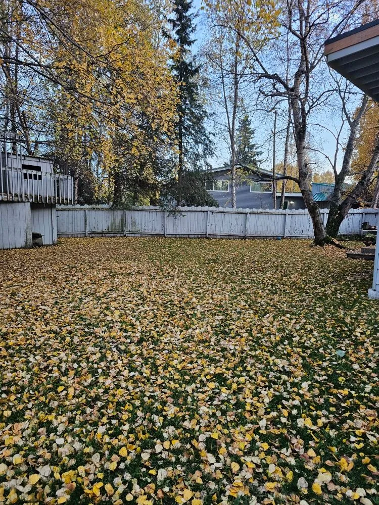 Affordable yard cleanup service experts serving Eagle River, AK - JL Proprety Services