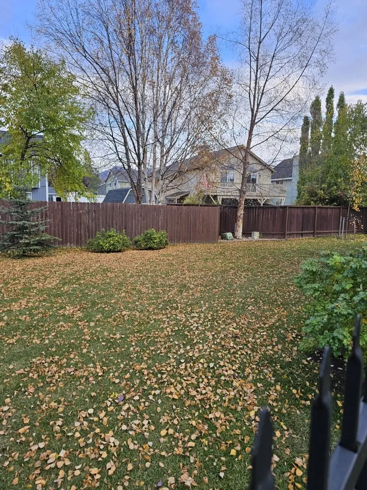 Local yard maintenance in Eagle River, AK - JL Proprety Services