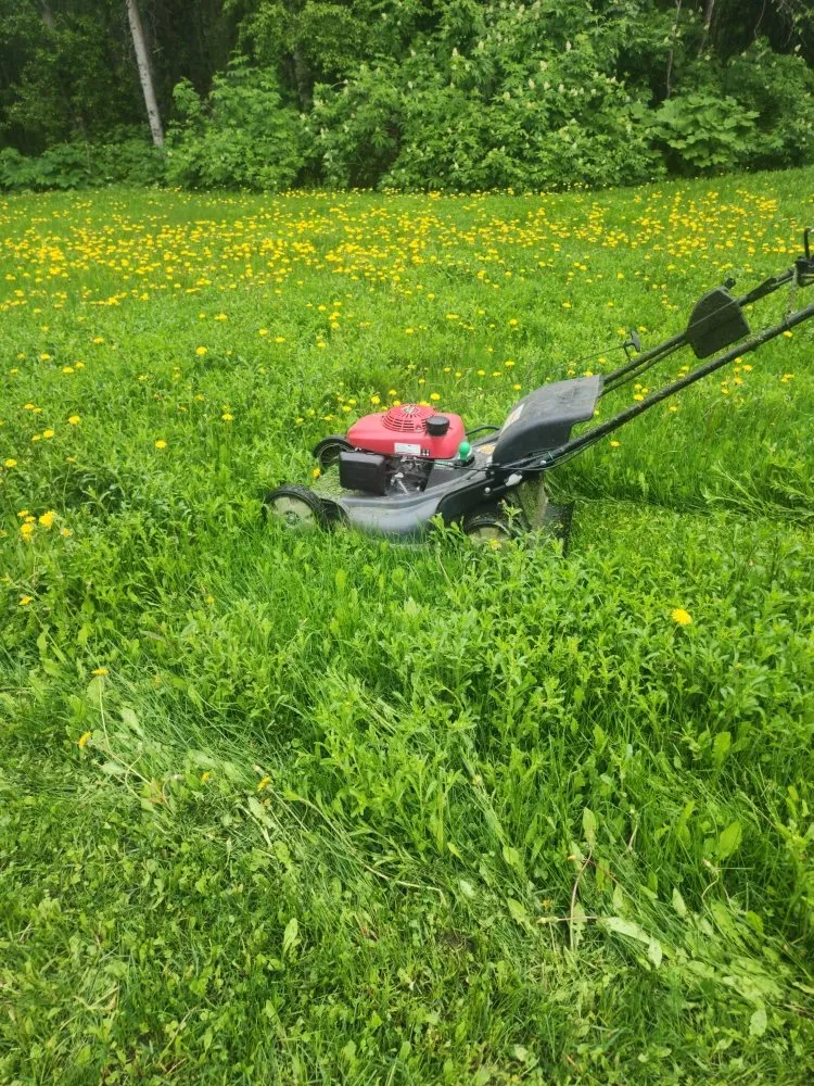 Custom yard cleanup service experts serving Eagle River, AK - JL Proprety Services