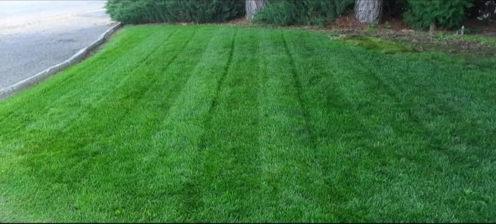 Local yard cleanup service for outdoor upgrades in Grandview, WA by J&L Services