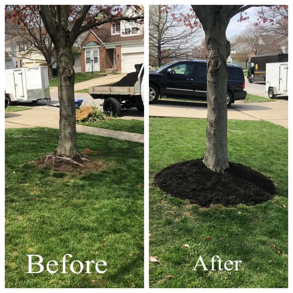 Local yard maintenance for beautiful yards in Xenia, OH by J&L Signature LawnCare
