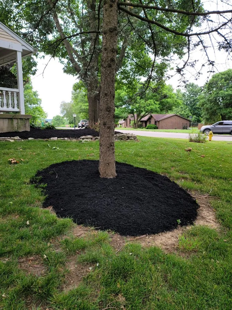 Top-rated landscape design for year-round maintenance across Xenia, OH - J&L Signature LawnCare