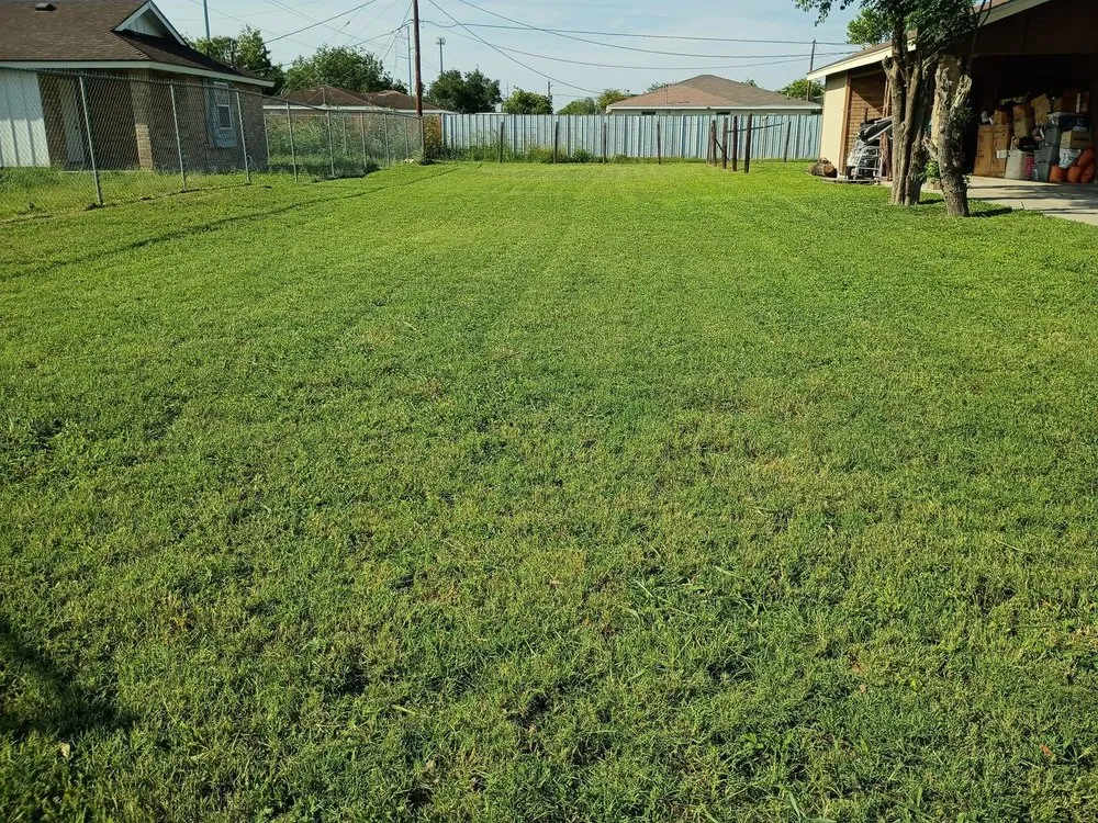 Trusted landscape installation for residential properties across Brownsville, TX - JL Specialty Lawn Mower