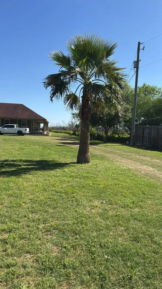 Trusted landscaping services experts serving Brownsville, TX - JL Specialty Lawn Mower