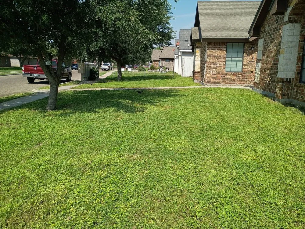 Expert lawn care service in Brownsville, TX - JL Specialty Lawn Mower