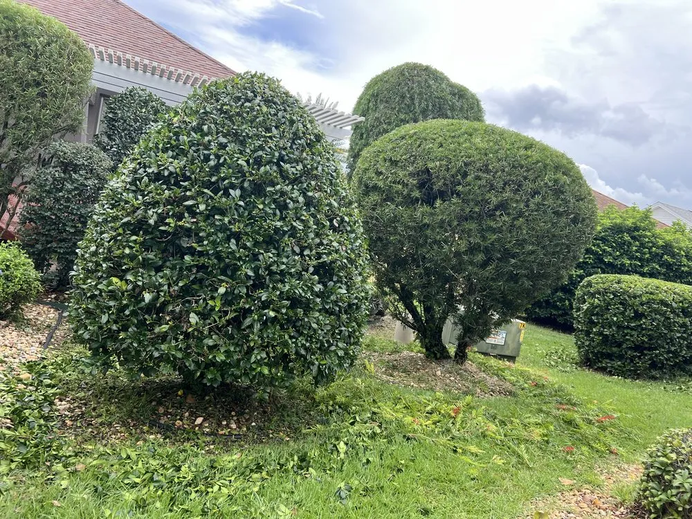 Top-rated garden landscaping in Summerfield, FL - JL Total Landscape