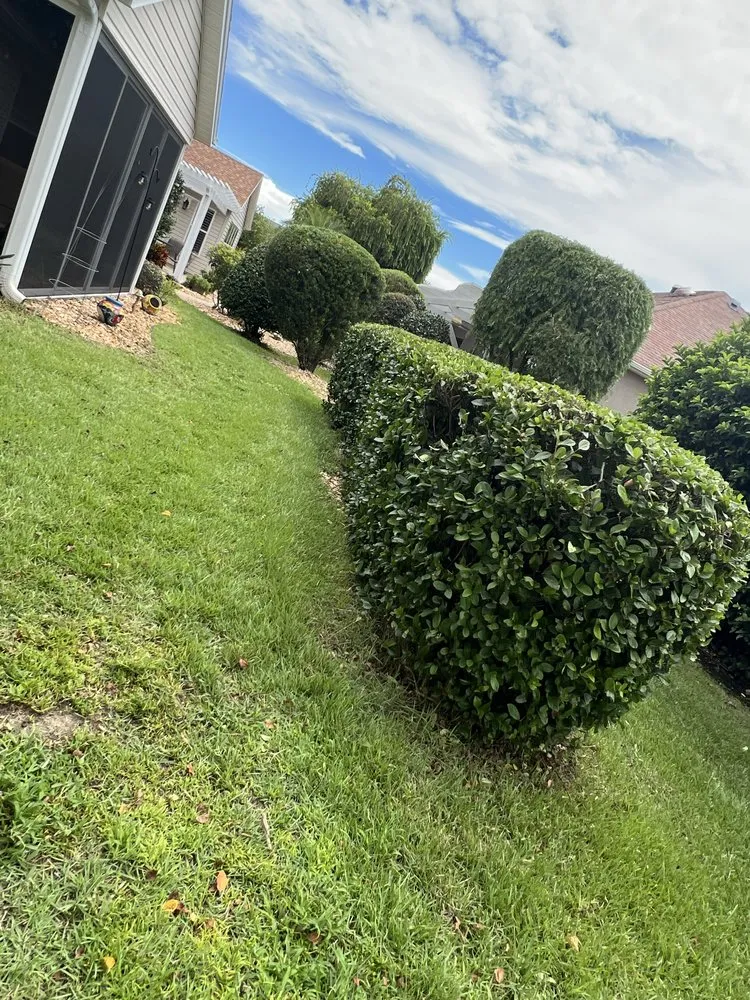 Professional yard maintenance for beautiful yards in Summerfield, FL by JL Total Landscape