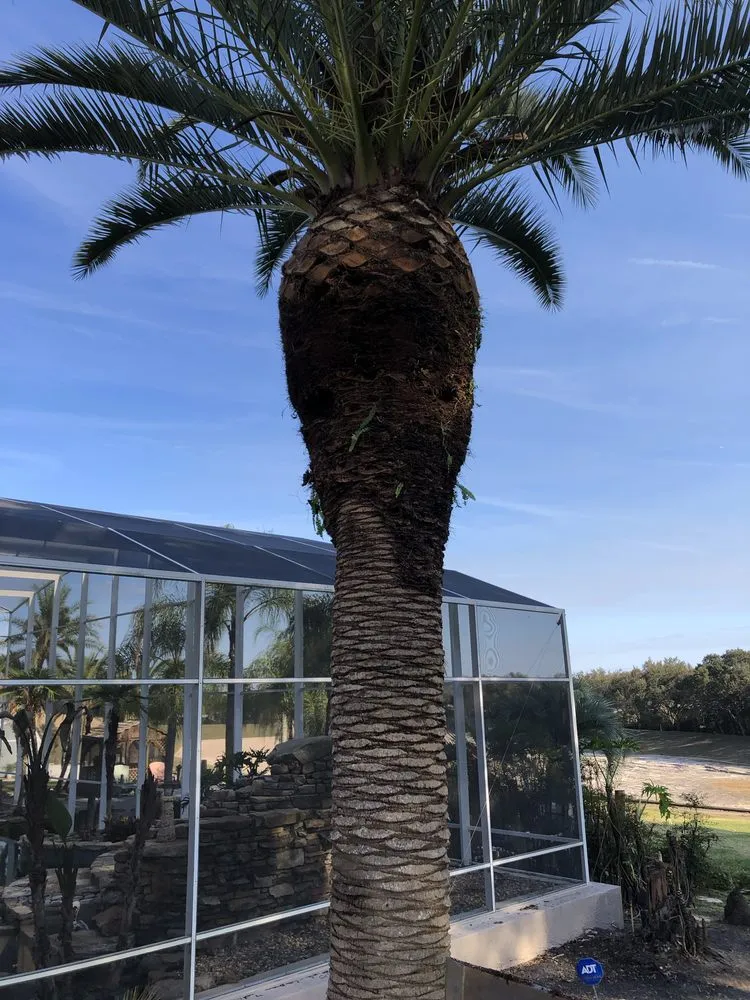 Affordable landscape design in Summerfield, FL - JL Total Landscape