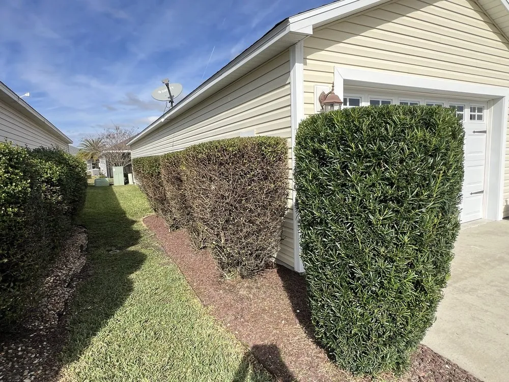 Custom yard maintenance near you across Summerfield, FL - JL Total Landscape
