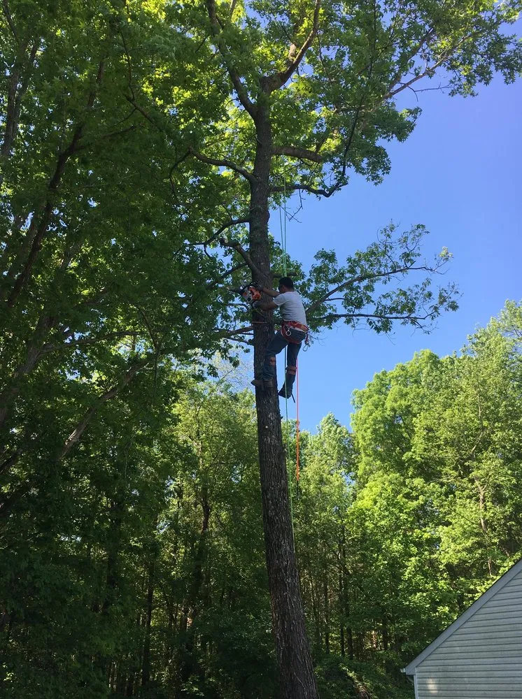 Expert landscape installation near you across Fredericksburg, VA - J&L Total Services