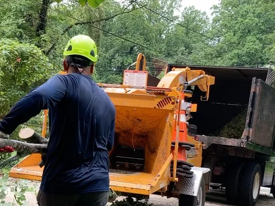 Trusted yard maintenance for homes across Groveton, VA - JL Tree Removal & Landscaping