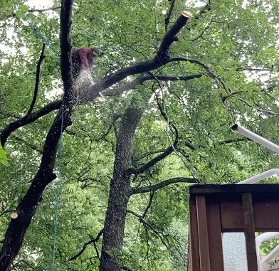 Trusted landscape design for residential properties across Groveton, VA - JL Tree Removal & Landscaping