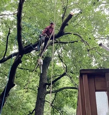 Expert landscaping services for outdoor upgrades across Groveton, VA - JL Tree Removal & Landscaping