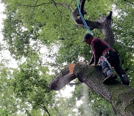 Custom residential landscaping in Groveton, VA - JL Tree Removal & Landscaping