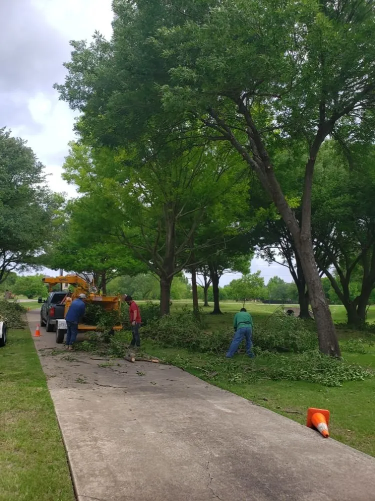 Reliable garden landscaping in Garland, TX by JL Tree Service & Landscaping