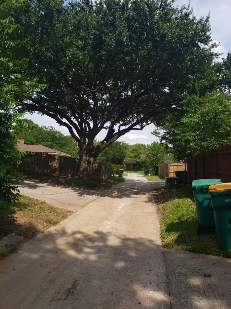 Local yard maintenance experts serving Garland, TX - JL Tree Service & Landscaping