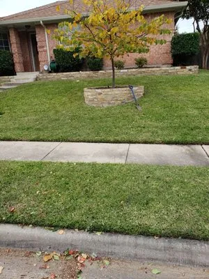 JL Tree Service & Landscaping Logo