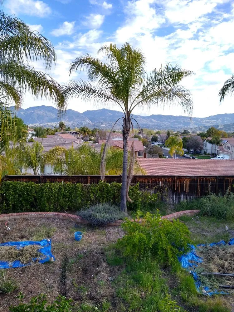 Affordable lawn mowing service for year-round maintenance across Hemet, CA - J&L Tree Service and Lawn Care