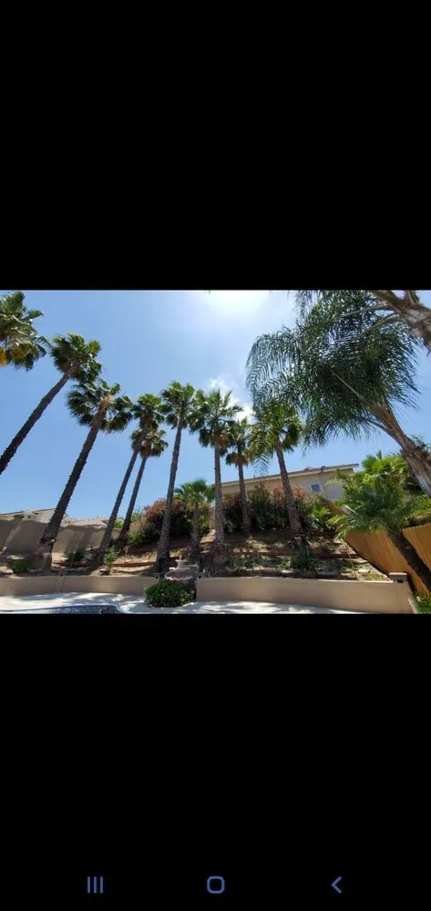 Expert lawn mowing service experts serving Hemet, CA - J&L Tree Service and Lawn Care