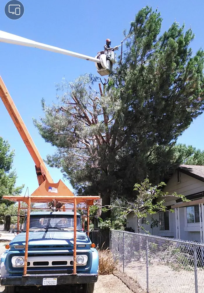 Local landscaping services in Hemet, CA - J&L Tree Service and Lawn Care