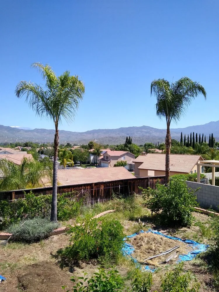 Reliable landscape design with custom design across Hemet, CA - J&L Tree Service and Lawn Care