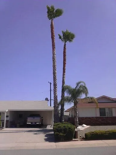 Trusted landscape design in Hemet, CA - J&L Tree Service and Lawn Care