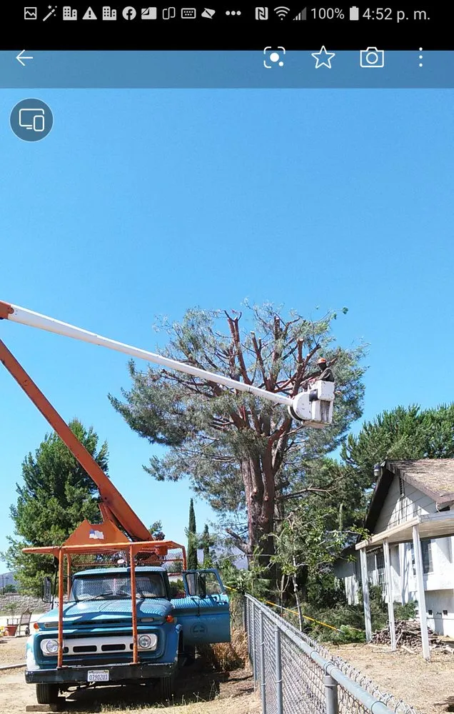 Top-rated yard cleanup service for homes in Hemet, CA by J&L Tree Service and Lawn Care