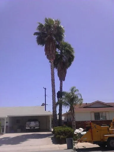 Trusted lawn care service in Hemet, CA by J&L Tree Service and Lawn Care