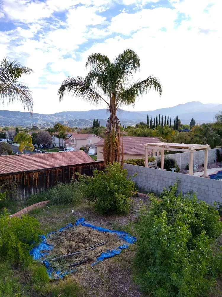 Local yard maintenance experts serving Hemet, CA - J&L Tree Service and Lawn Care