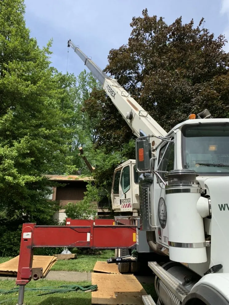 Reliable yard maintenance in Fairfax, VA by JL Tree Service