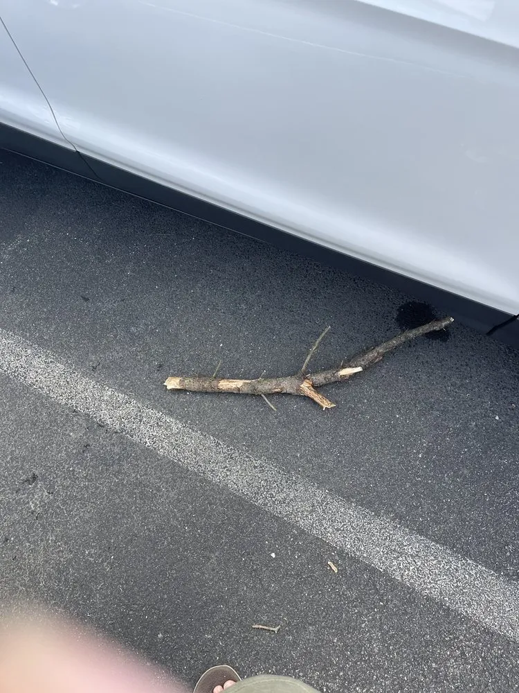 Local lawn mowing service in Fairfax, VA - JL Tree Service