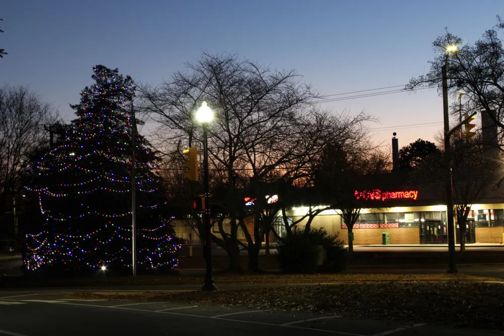 Local landscaping services for outdoor upgrades in Fairfax, VA by JL Tree Service