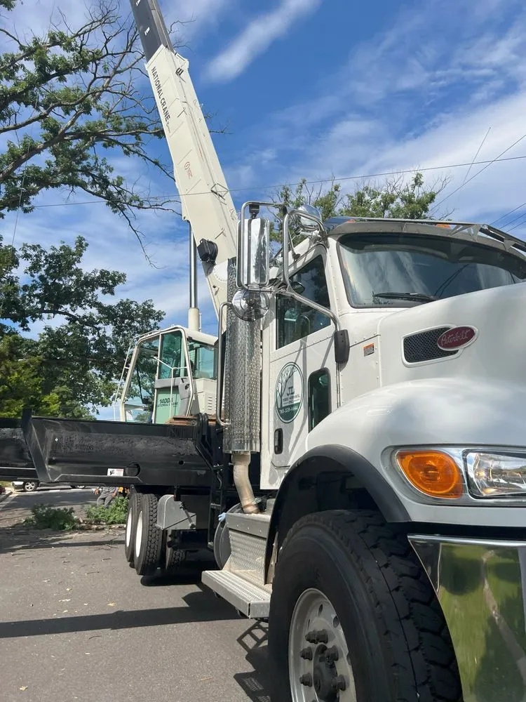 Top-rated yard cleanup service in Fairfax, VA by JL Tree Service