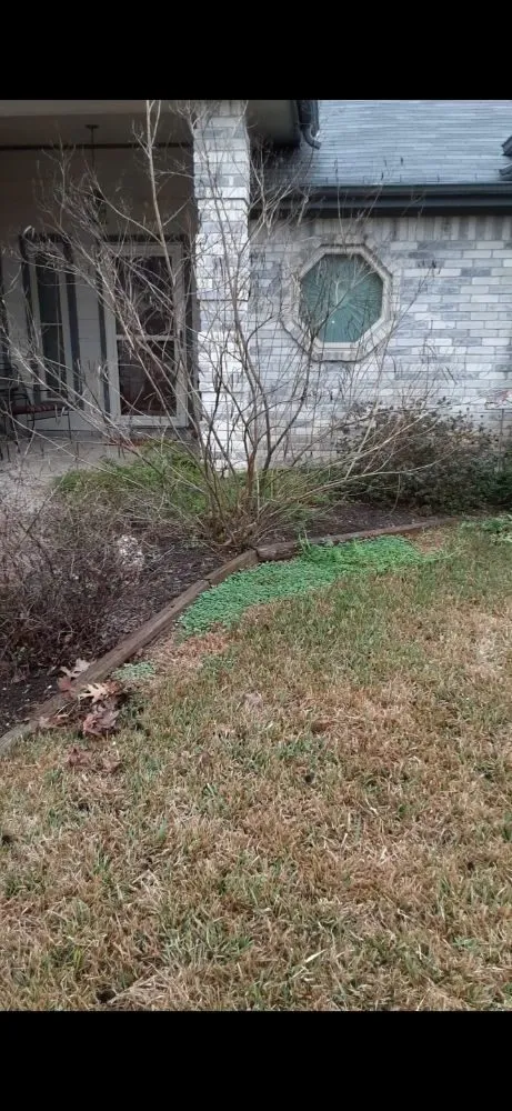 Expert landscaping services for outdoor upgrades in Round Rock, TX by JL Tree Service