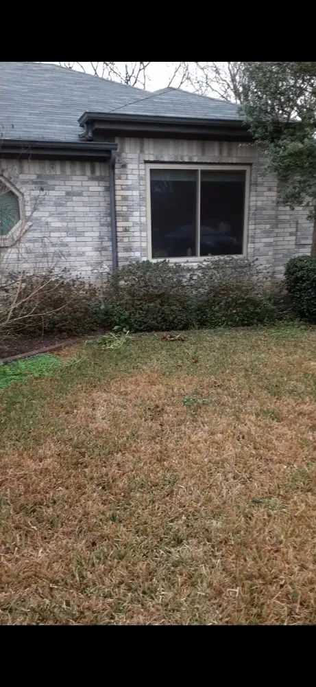 Top-rated landscape installation for homes in Round Rock, TX by JL Tree Service