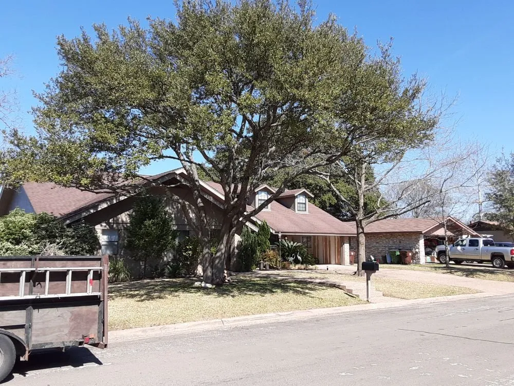 Affordable yard maintenance experts serving Round Rock, TX - JL Tree Service