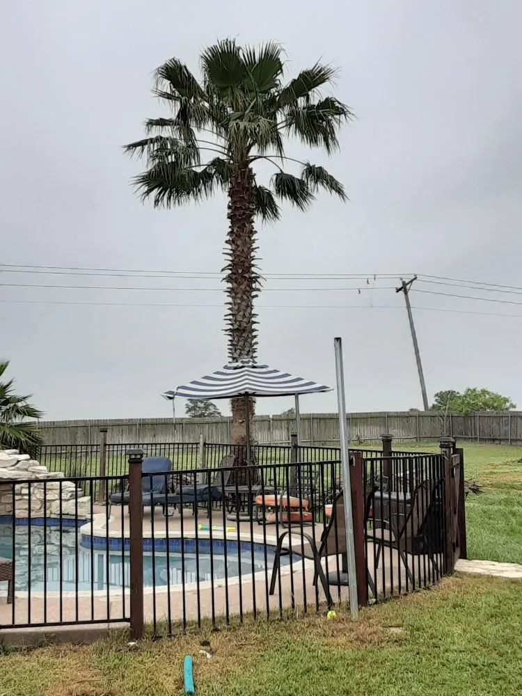 Custom landscaping services experts serving Round Rock, TX - JL Tree Service