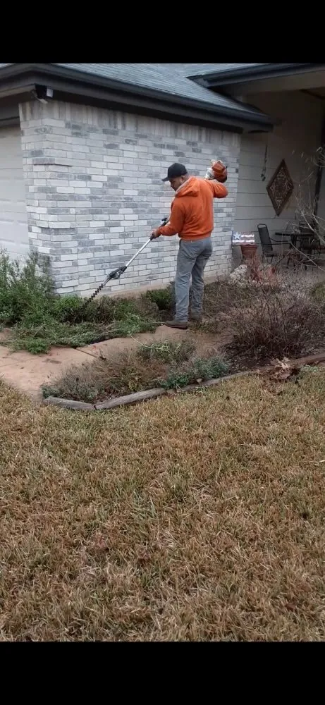 Top-rated lawn care service for outdoor upgrades across Round Rock, TX - JL Tree Service