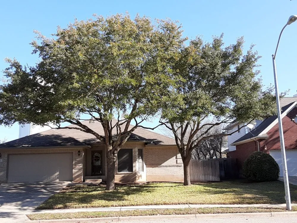 Affordable lawn care service for year-round maintenance in Round Rock, TX by JL Tree Service