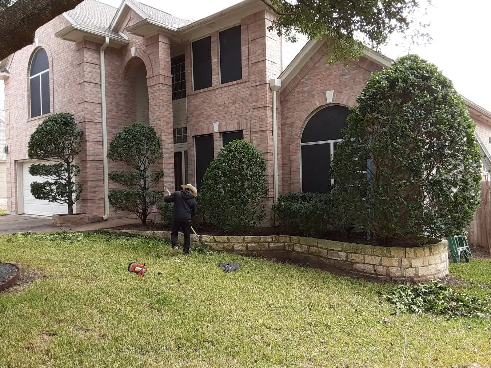 Affordable lawn care service for homes across Round Rock, TX - JL Tree Service