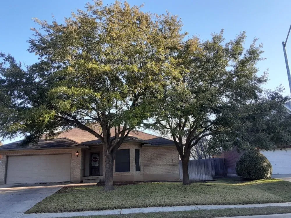 Expert landscape design for beautiful yards in Round Rock, TX by JL Tree Service