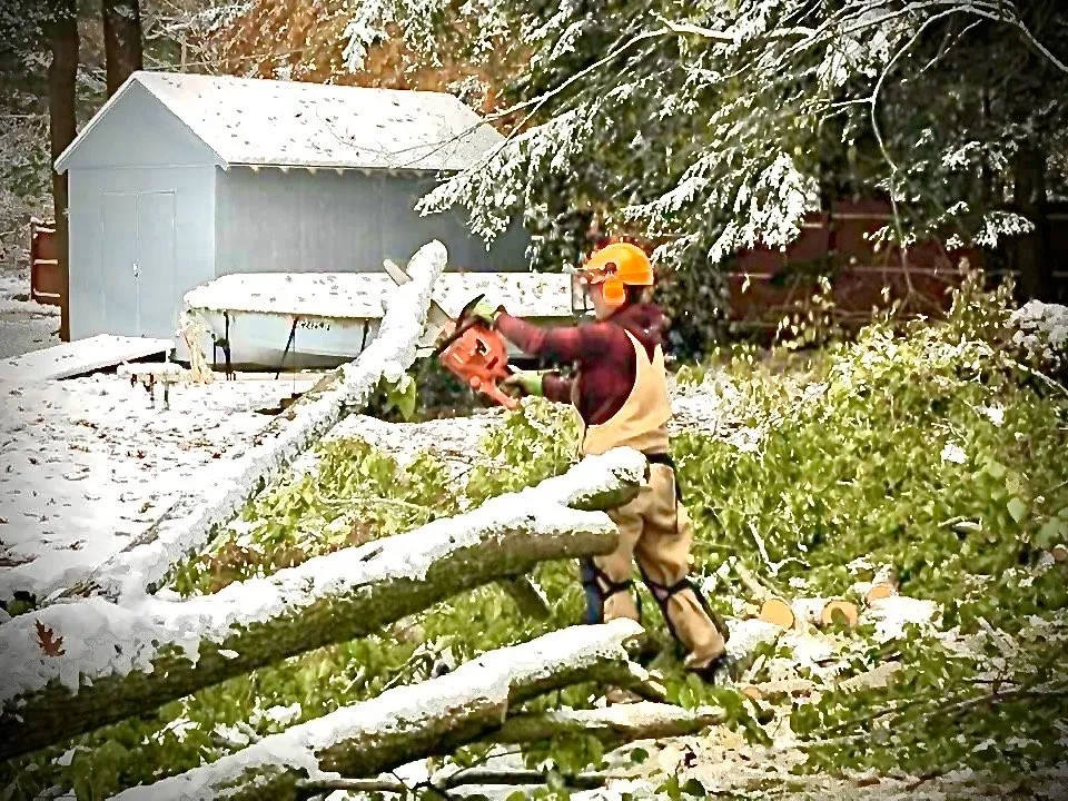 Custom lawn care service experts serving Spring Lake, MI - JL Works & Design