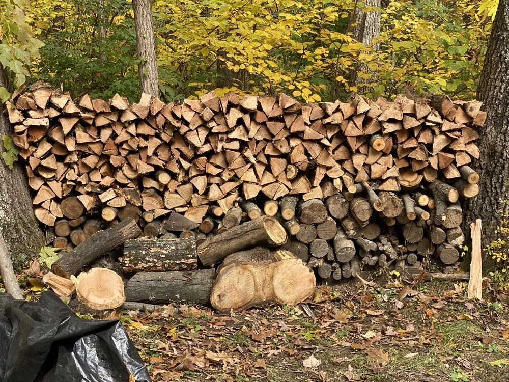 Affordable yard cleanup service in Spring Lake, MI by JL Works & Design